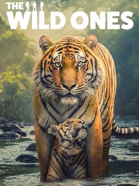 مسلسل The Wild Ones الموسم الاول الحلقة 6 والاخيرة مترجمة