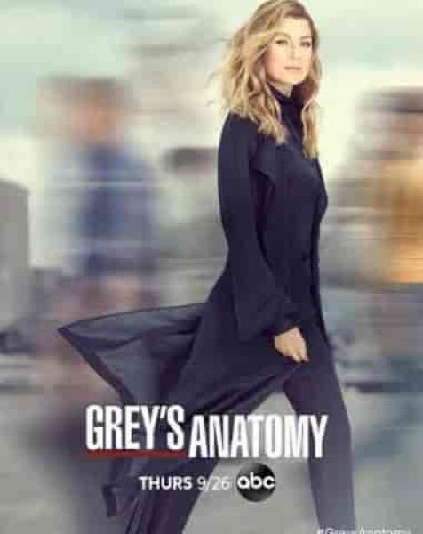 مسلسل Grey's Anatomy الموسم السادس عشر الحلقة 8