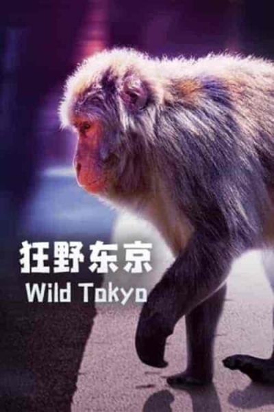 فيلم Wild Tokyo 2020 مترجم اون لاين