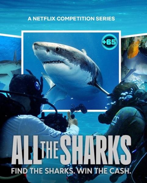 مسلسل All the Sharks الموسم الاول الحلقة 1 مترجمة