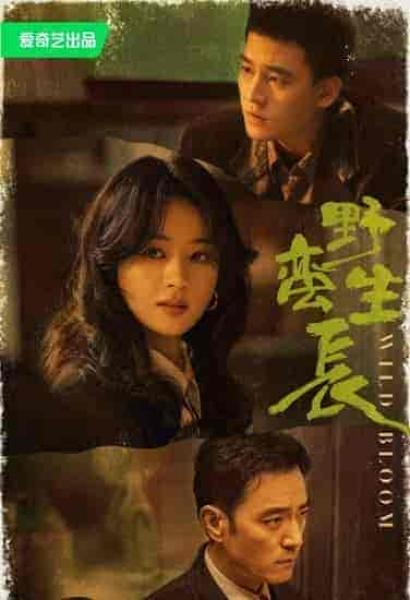 مسلسل النمو الوحشي Wild Bloom الحلقة 24 مترجمة