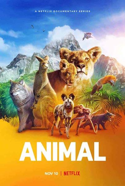 مسلسل Animal الموسم الاول الحلقة 3 الثالثة مترجمة
