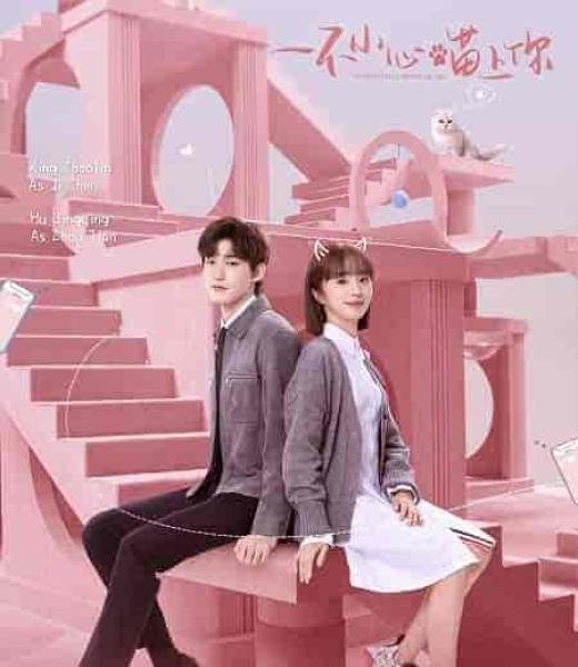 مسلسل مؤاء مؤاء يرتبط بالحب Accidentally Meow on You الحلقة 2 مترجمة