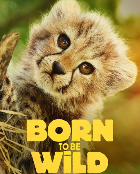 مسلسل Born to be Wild الموسم الاول الحلقة 1 مترجمة