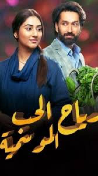 مسلسل رياح الحب الموسمية الموسم الخامس الحلقة 35 مدبلجة