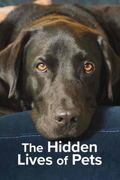 مسلسل The Hidden Lives of Pets الموسم الاول الحلقة 4 والاخيرة مترجمة