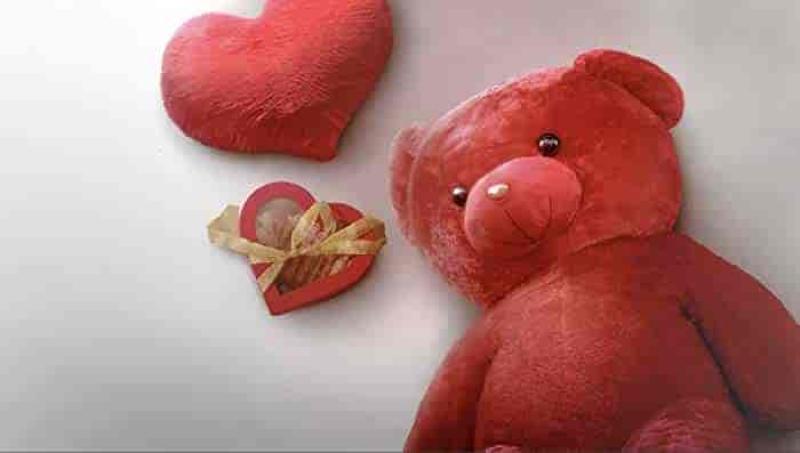 مسلسل في الحب… والحياة الحلقة 5 الخامسة